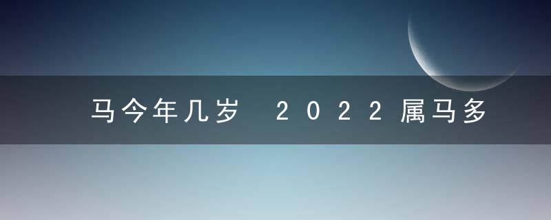 马今年几岁 2022属马多大？